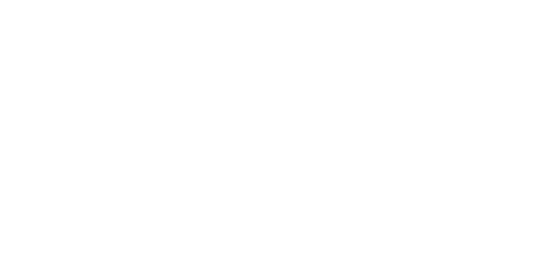 buguer king (1)
